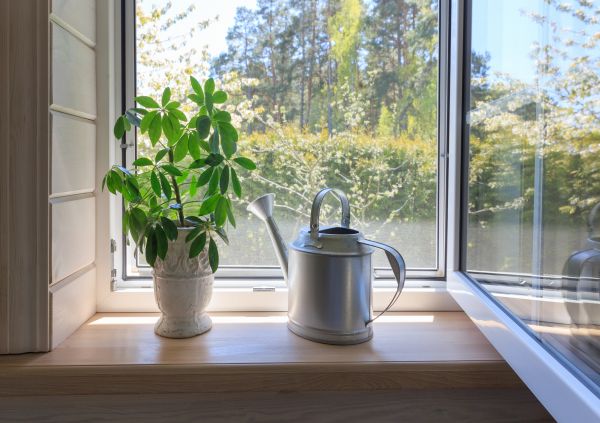 Garden Window Repair in Miami Beach